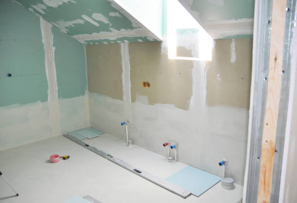 Best Mold Documentation for Insurance Claims  in Rock Island, IL
