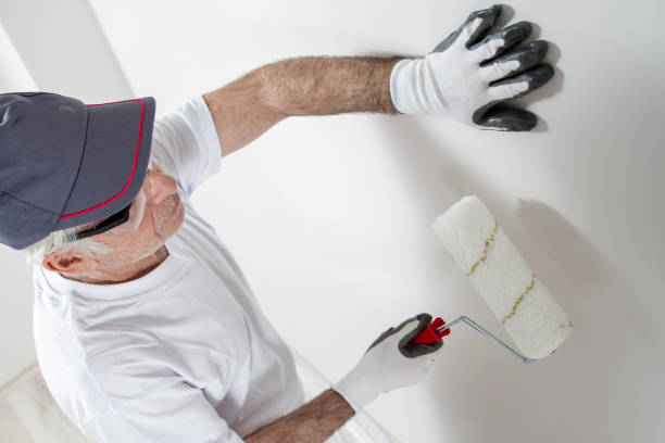 Best Mold Damage Restoration  in Rock Island, IL