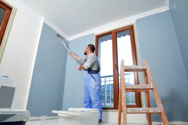 Best Biohazard Mold Removal  in Rock Island, IL
