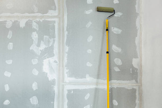 Best Environmental Consulting for Mold Prevention  in Rock Island, IL