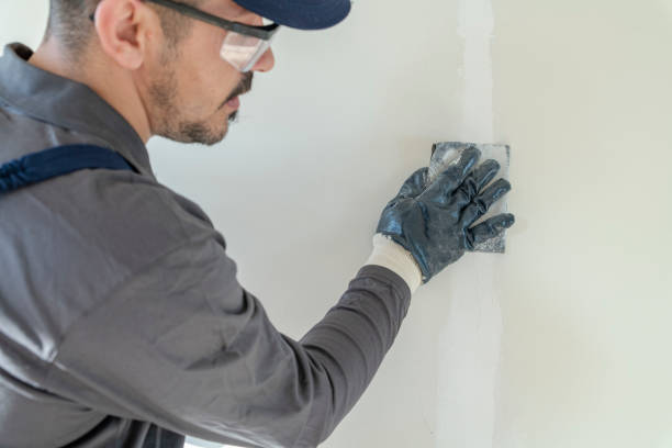 Best Mold Prevention Services  in Rock Island, IL
