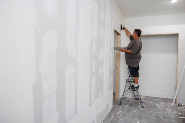 Best Real Estate Mold Inspection  in Rock Island, IL
