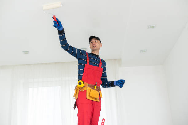 Best Mold Removal for HVAC Installations  in Rock Island, IL