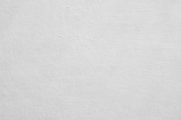 Rock Island, IL Mold Removal Company