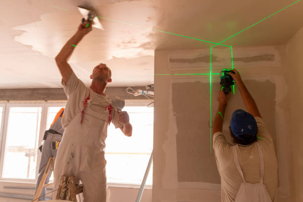Best Basement Mold Removal  in Rock Island, IL