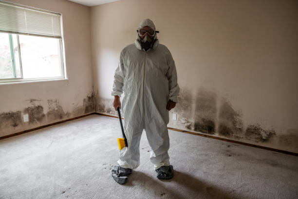 Best Residential Mold Inspection & Testing  in Rock Island, IL
