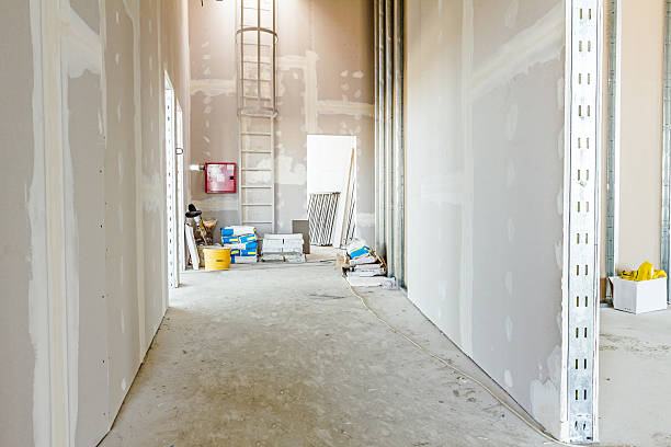 Best Forensic Mold Investigation  in Rock Island, IL