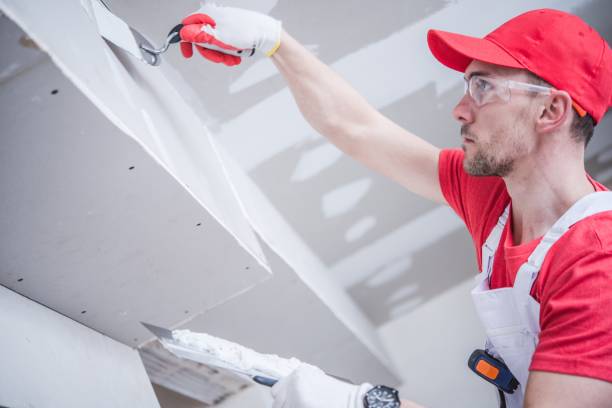 Best Air Quality Testing for Mold Spores  in Rock Island, IL